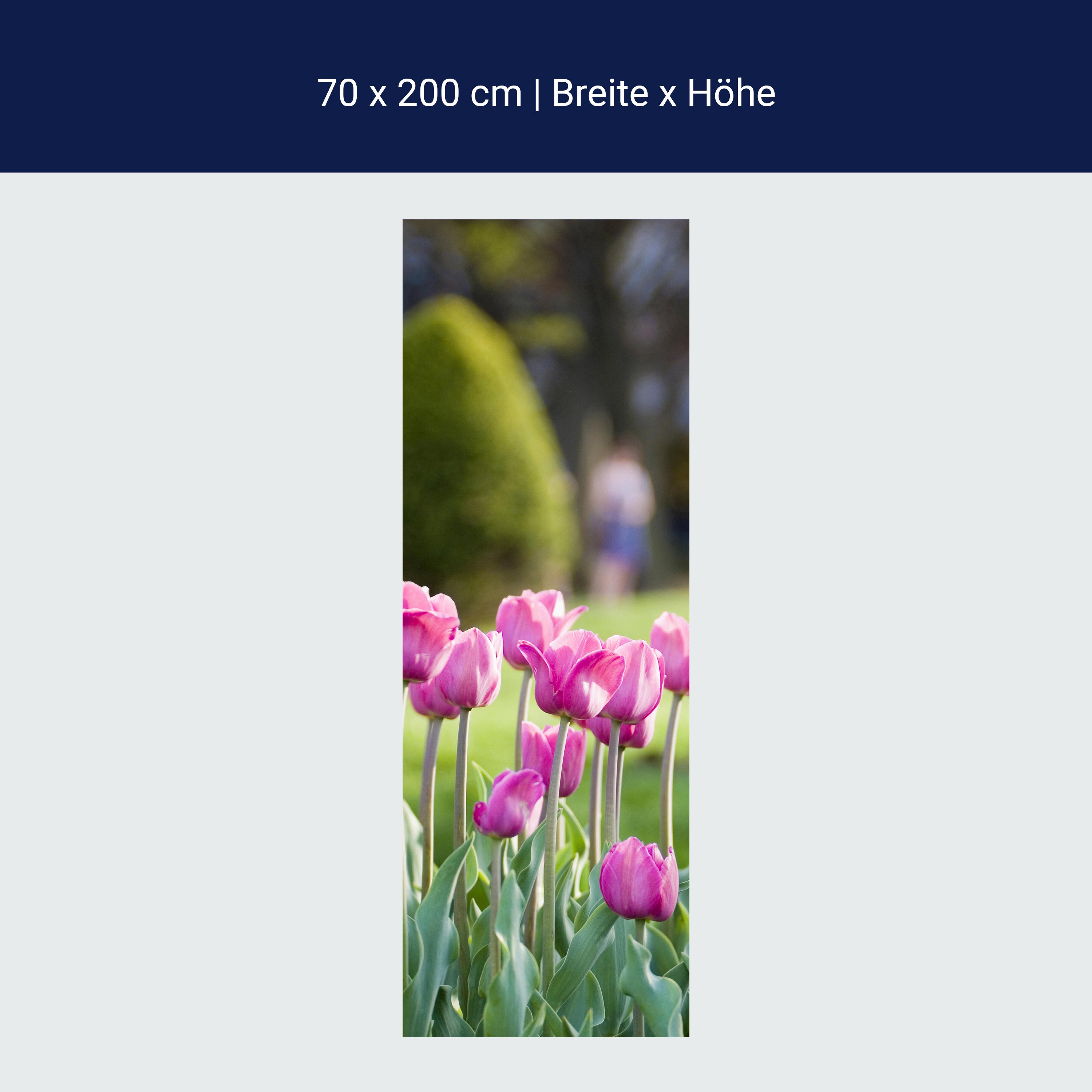 Türtapete Pinke Tulpen M0016