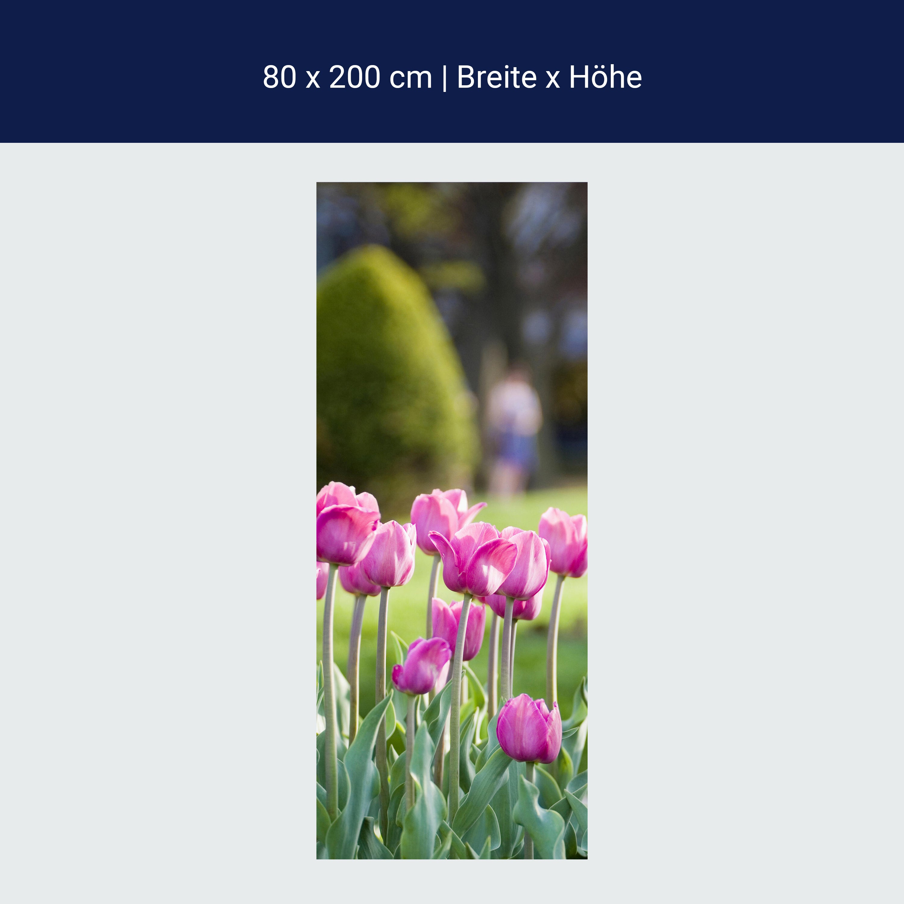 Türtapete Pinke Tulpen M0016