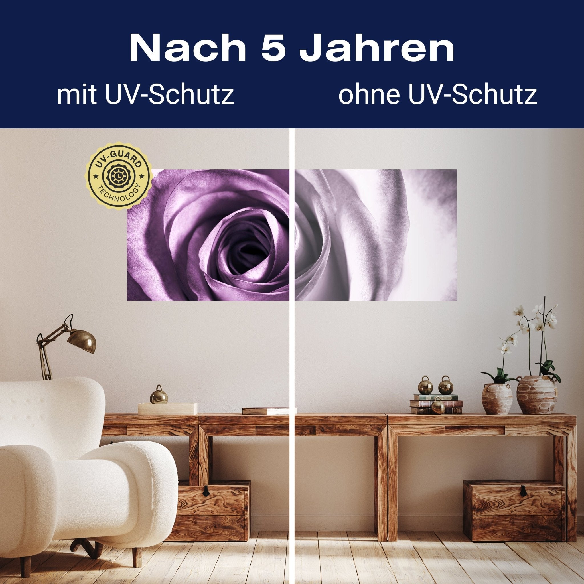 Leinwandbild violette Rose M0051 kaufen - Bild 9