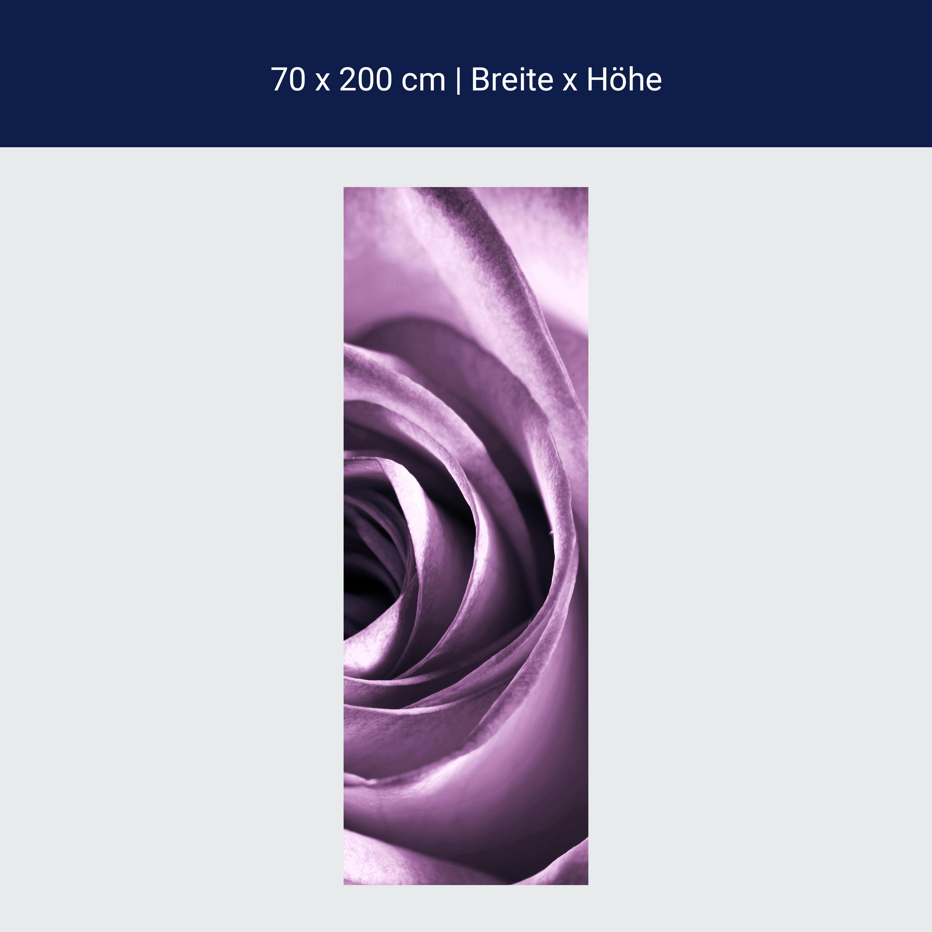 Türtapete violette Rose M0051