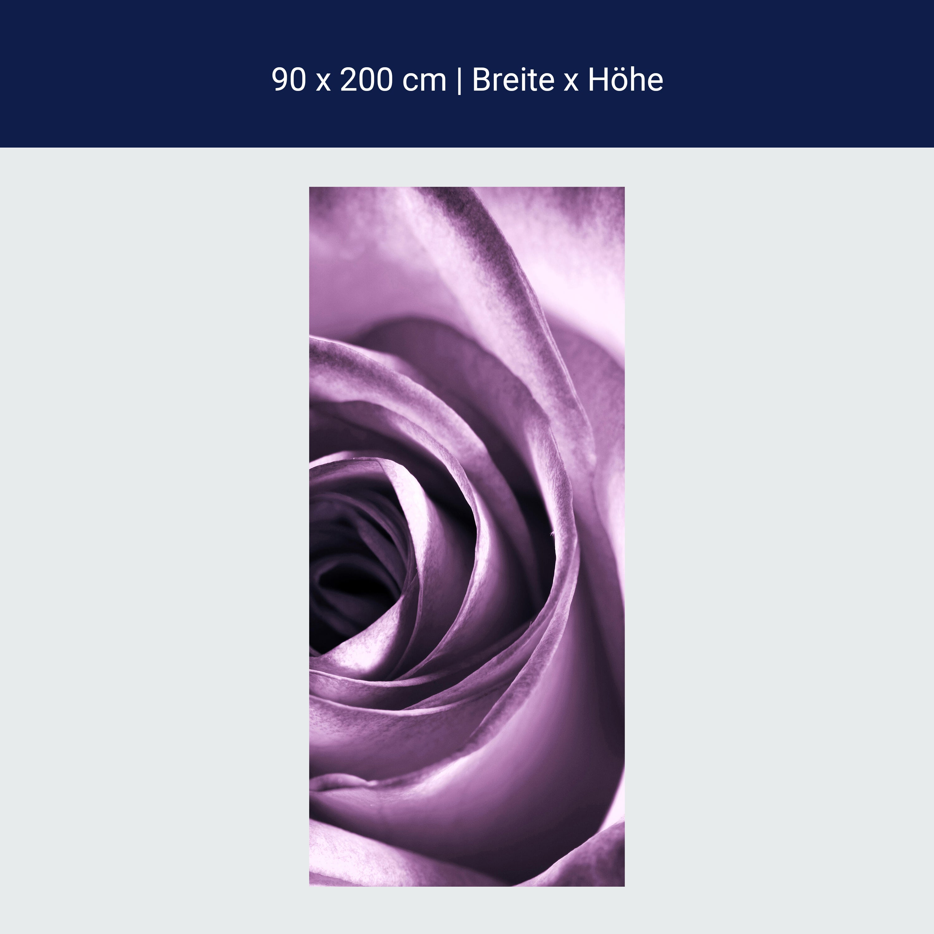 Türtapete violette Rose M0051