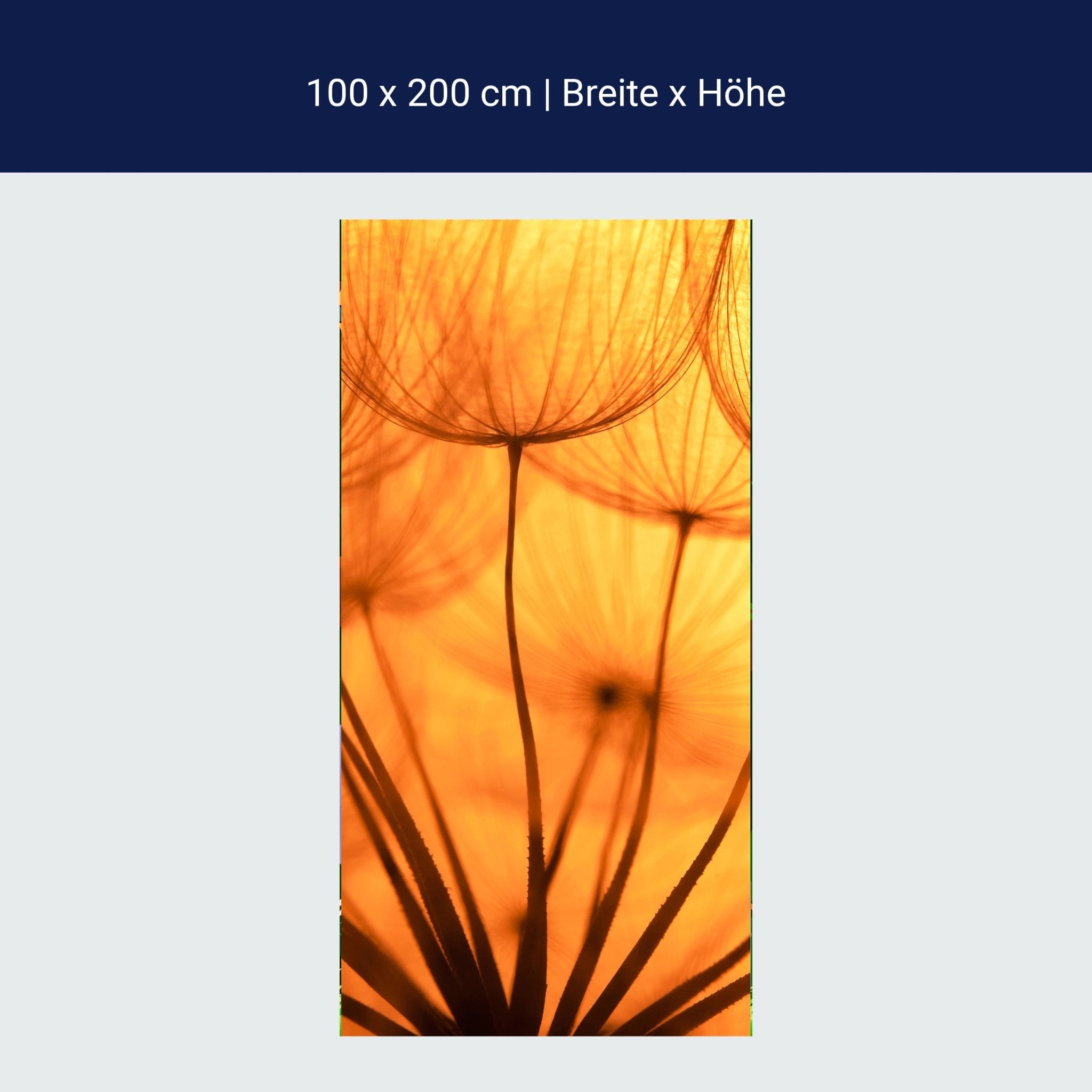 Türtapete Pusteblume Orange M0390