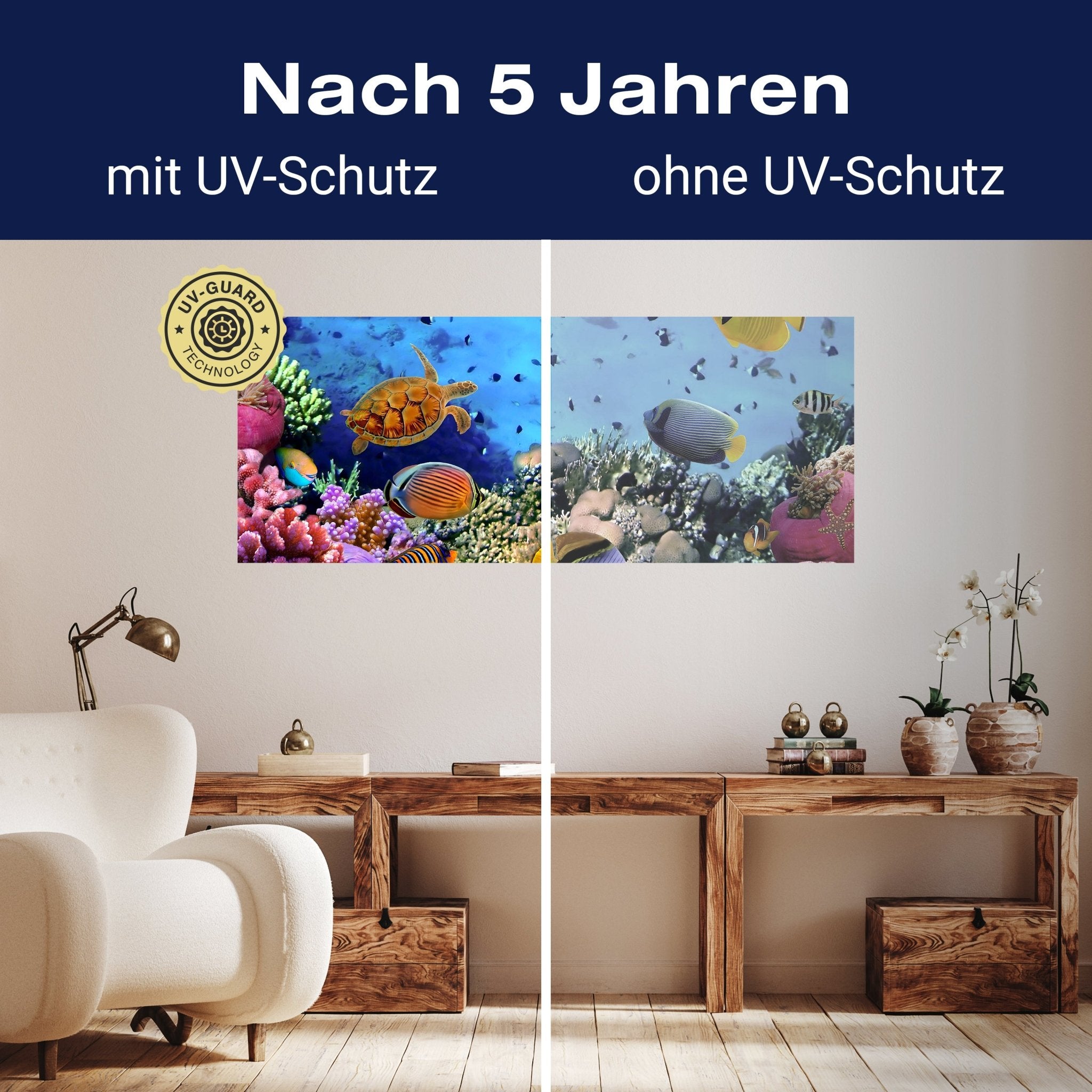 Leinwandbild Korallenriff mit Fischen M0480 kaufen - Bild 9