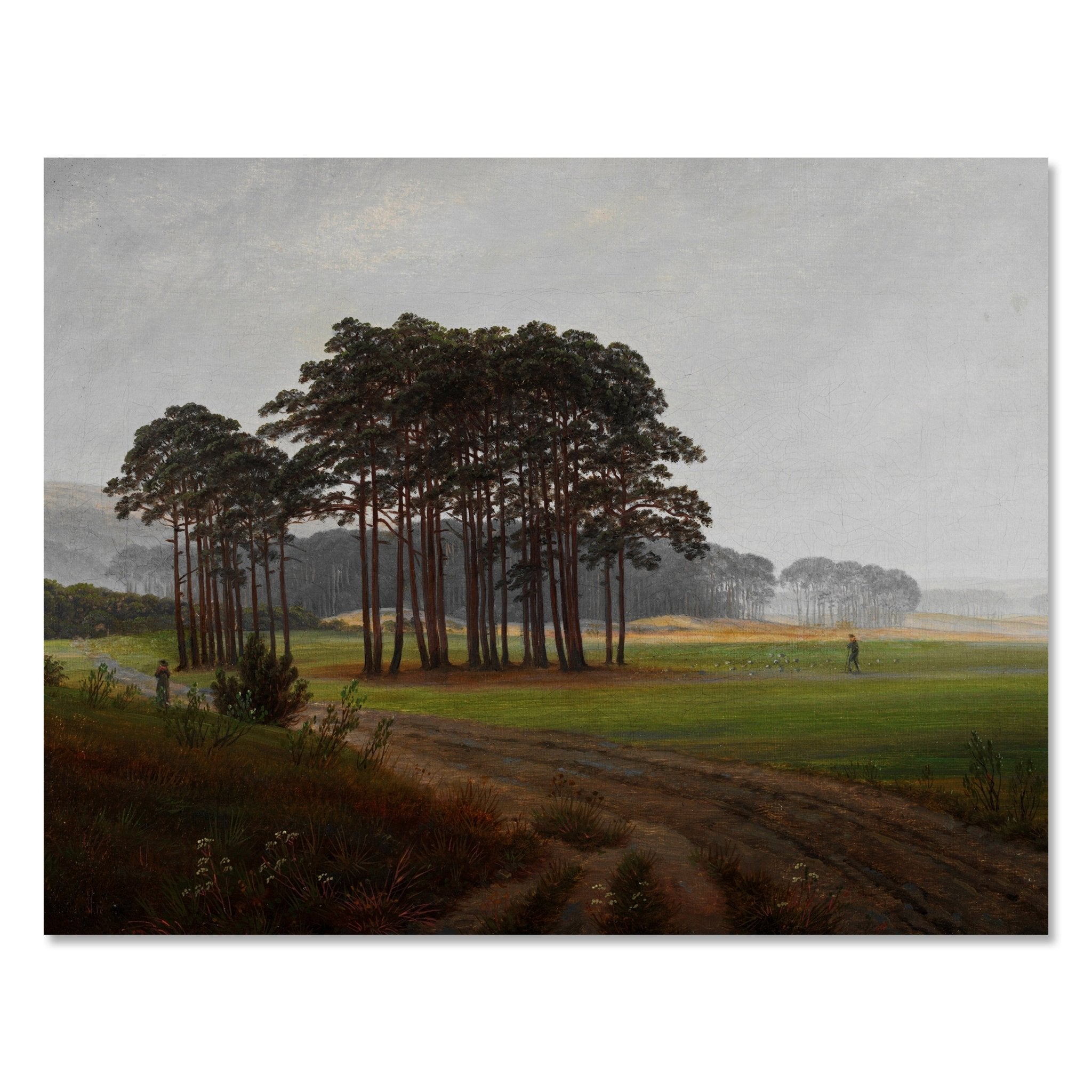 Leinwandbild Morgen Waldwiese Caspar David Friedrich M0857 kaufen - Bild 1