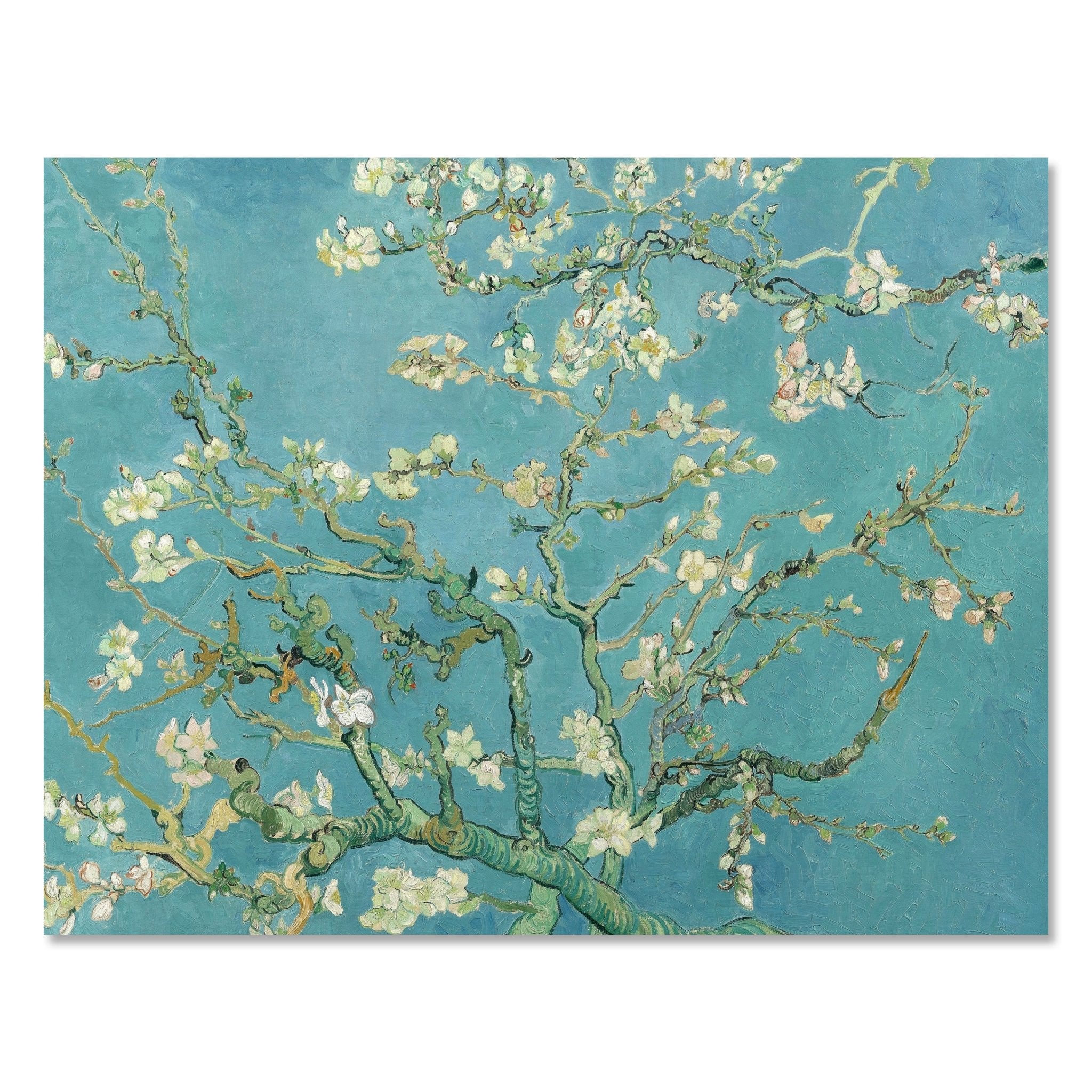 Leinwandbild Mandelblüte, Vincent van Gogh M0878 kaufen - Bild 1