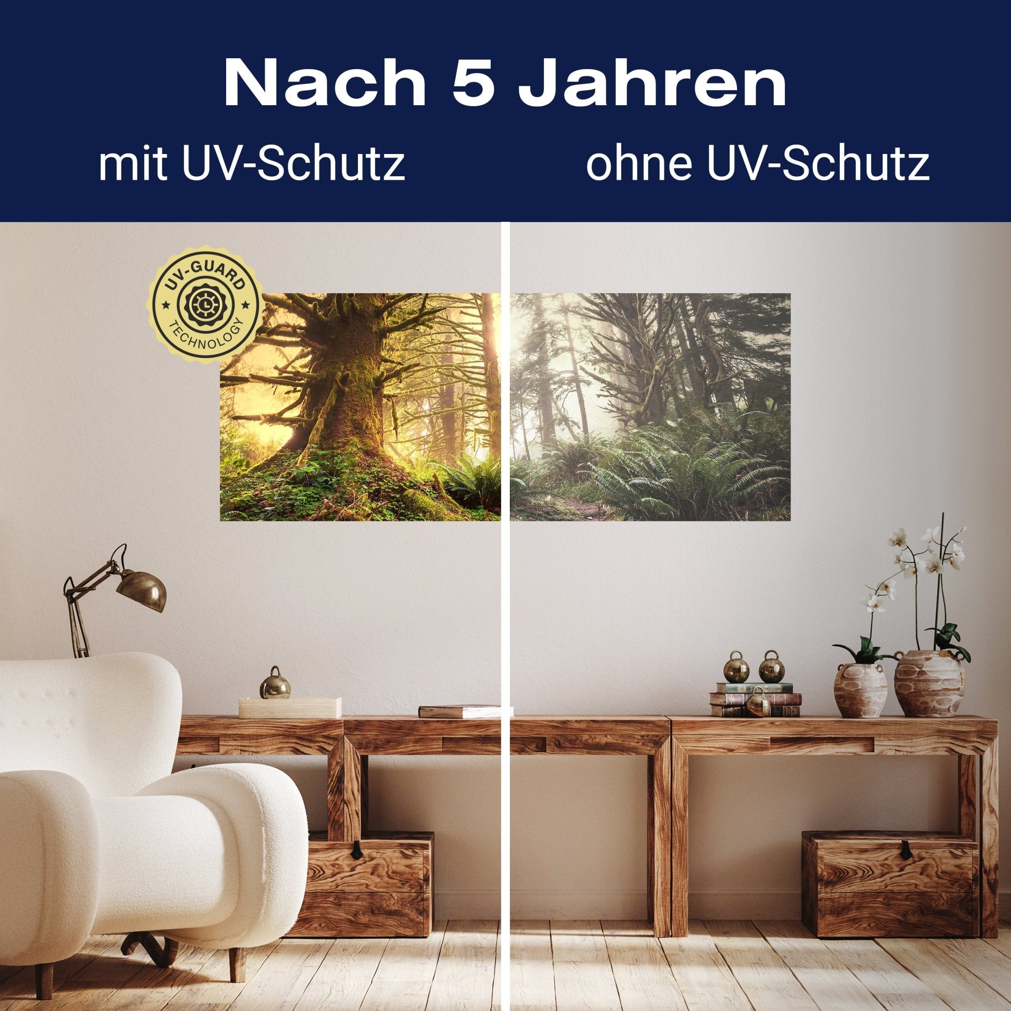 Leinwandbild Regenwald im Olympischen Nationalpark M0887 kaufen - Bild 9