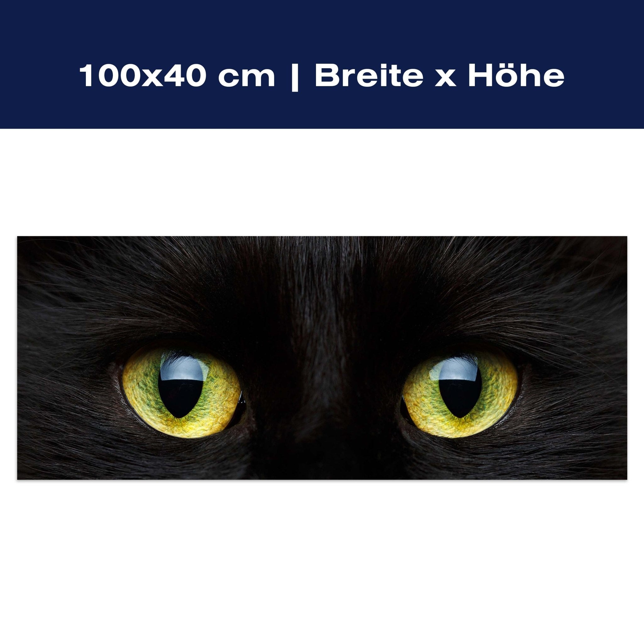 Leinwandbild Nahaufnahme der schwarzen Katze M1013