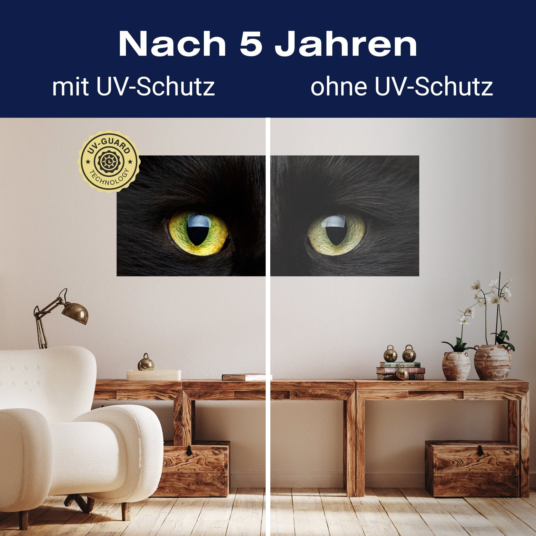 Leinwandbild Nahaufnahme der schwarzen Katze M1013 kaufen - Bild 9