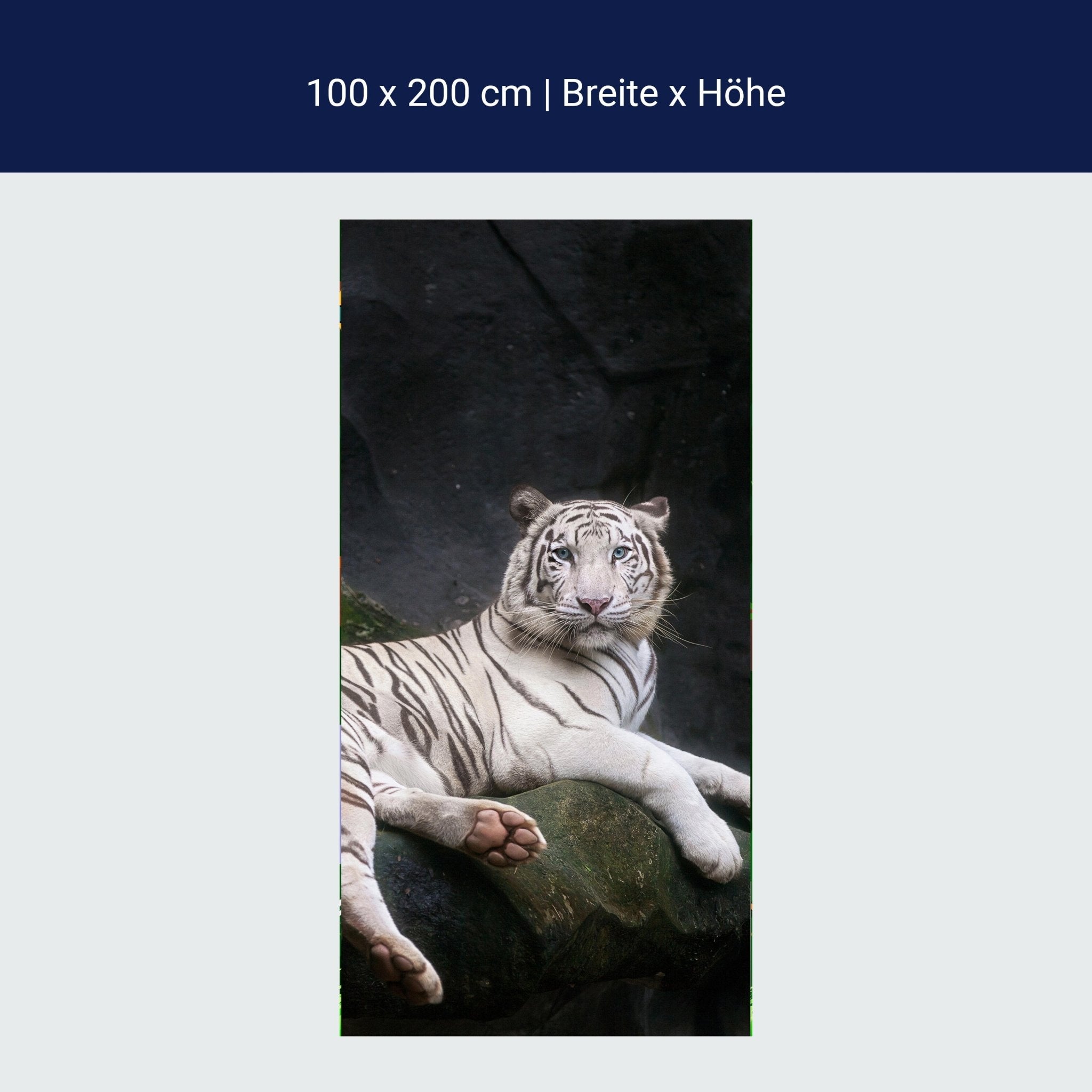 Türtapete Weißer Tiger sitzt in der Höhle M1027