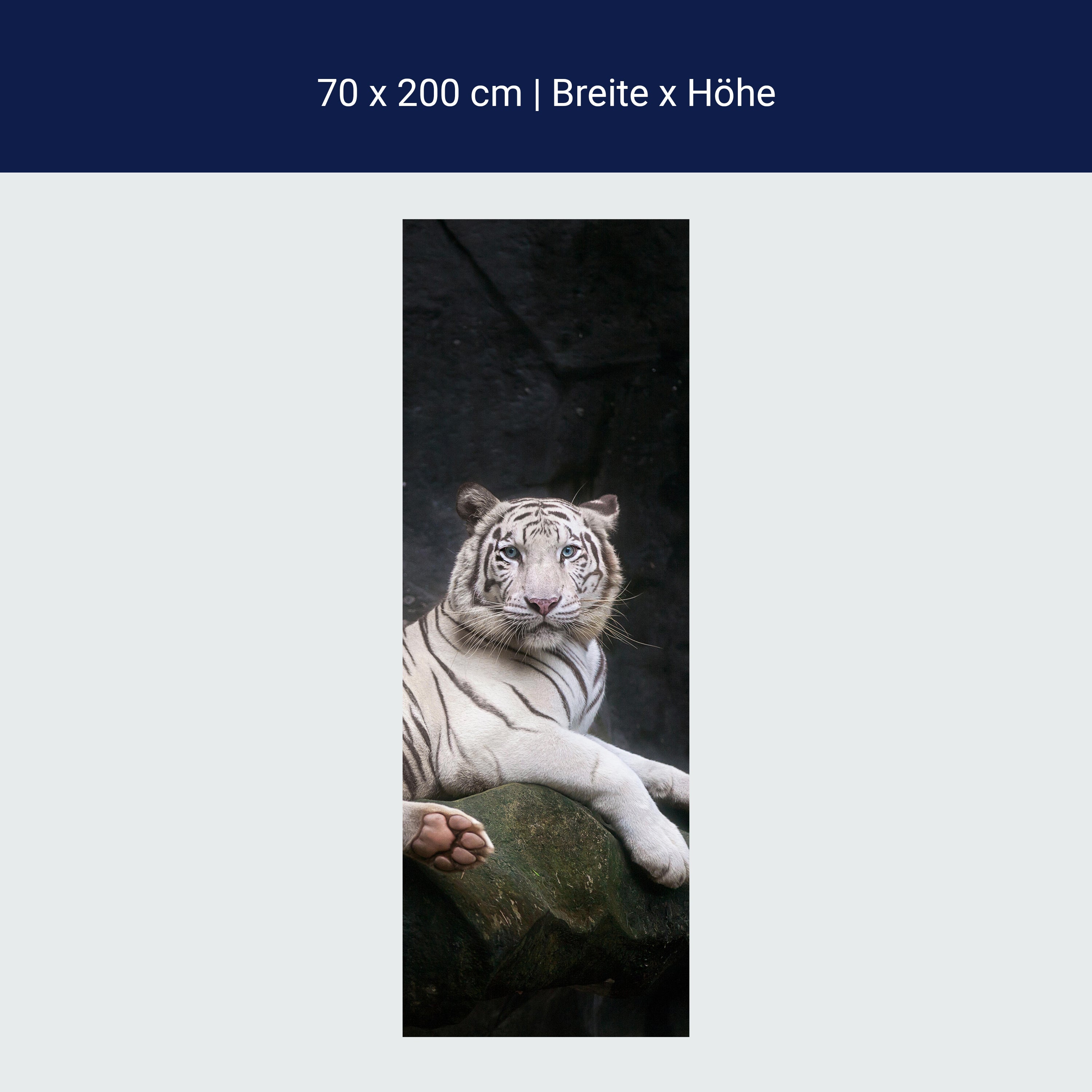 Türtapete Weißer Tiger sitzt in der Höhle M1027