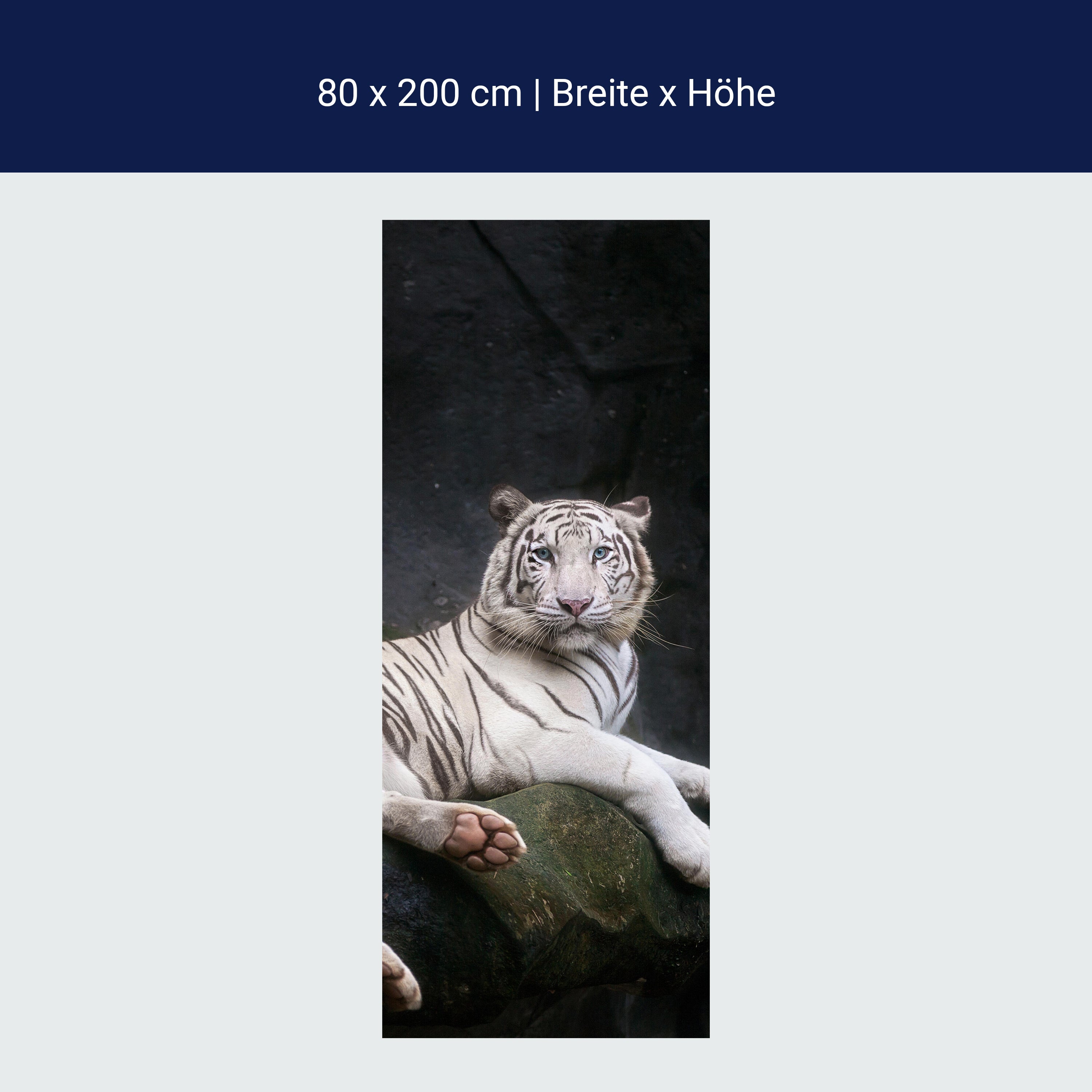 Türtapete Weißer Tiger sitzt in der Höhle M1027