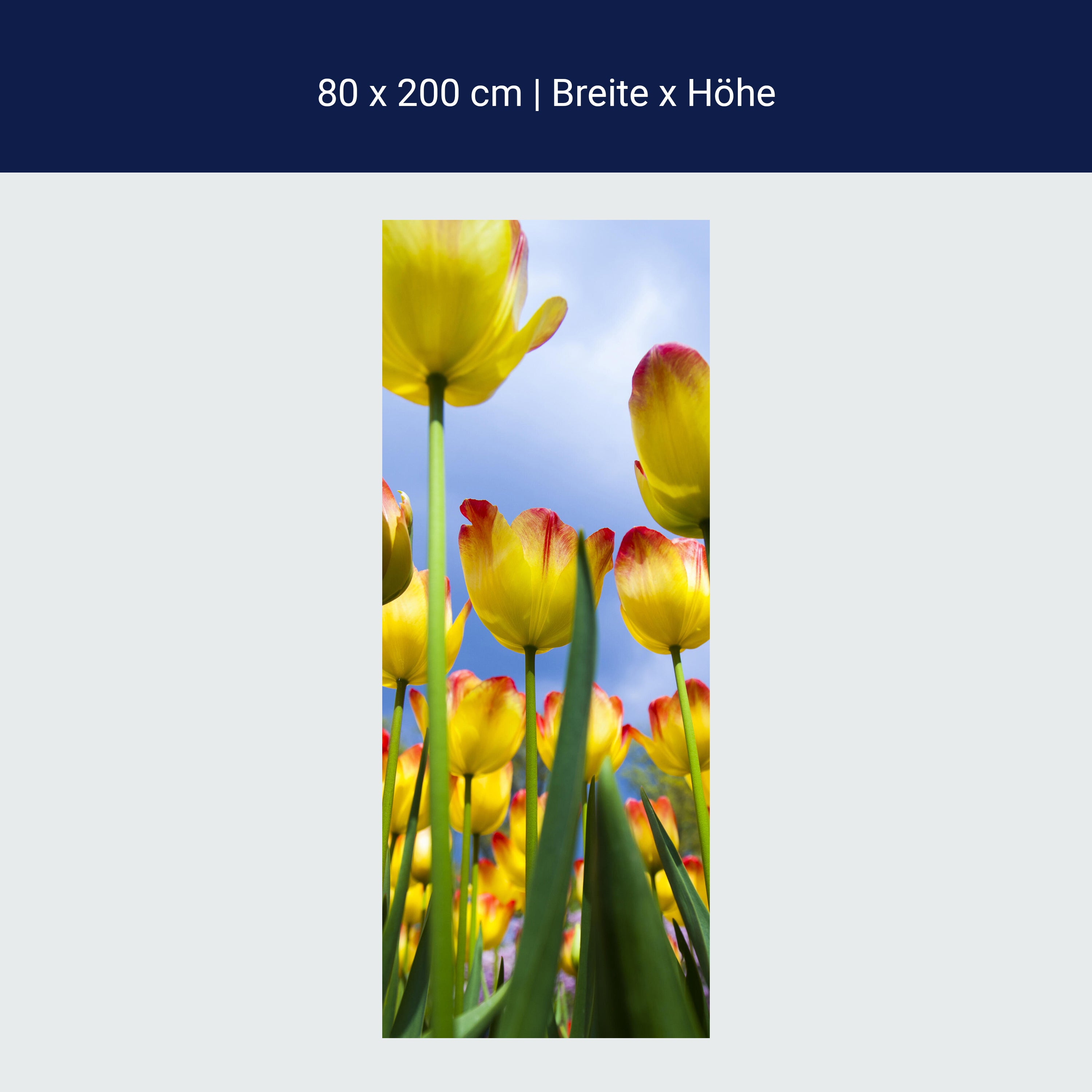 Türtapete Tulpen M1029