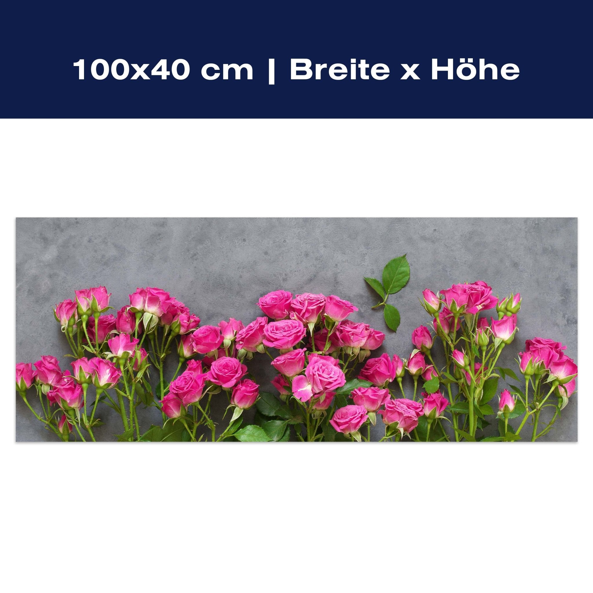 Leinwandbild Rosa Rosen auf dunkelgrauem Hintergrund M1033