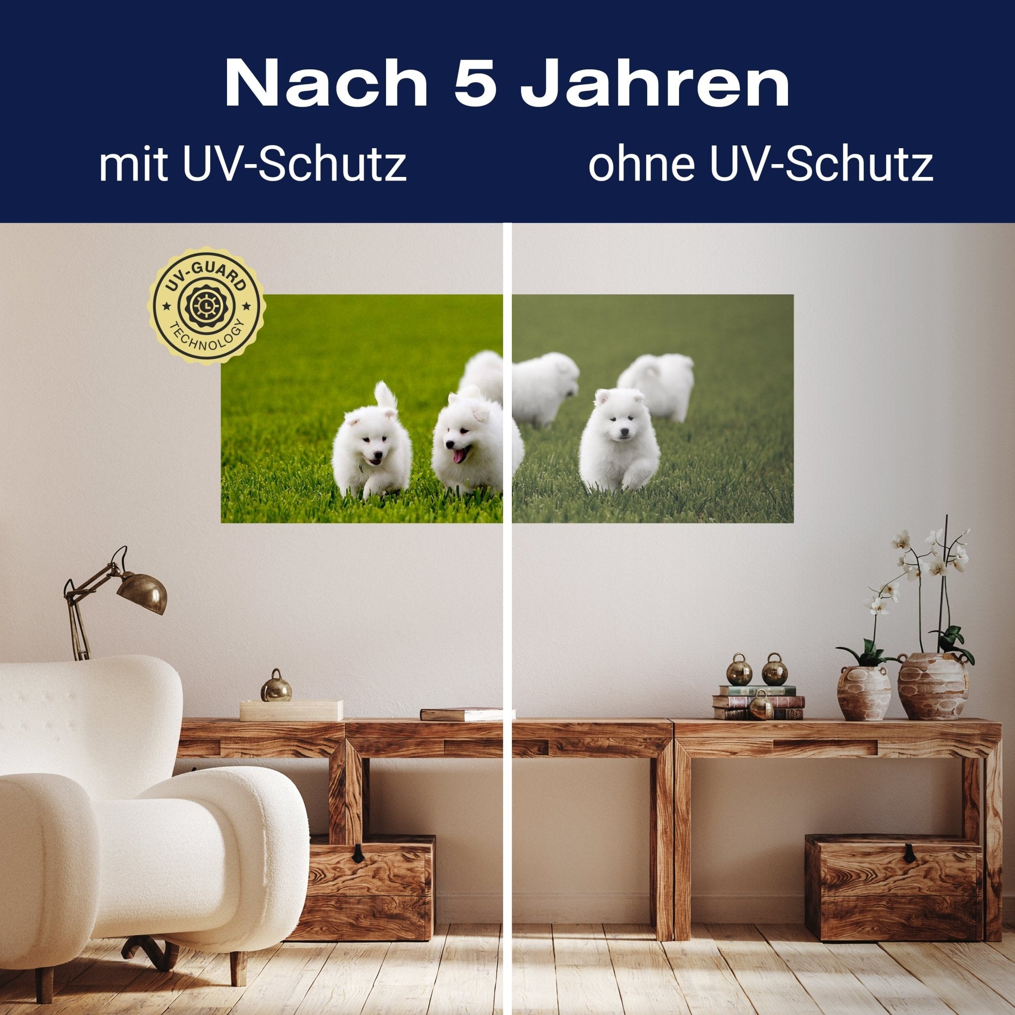 Leinwandbild Samojedenhund M1043 kaufen - Bild 9