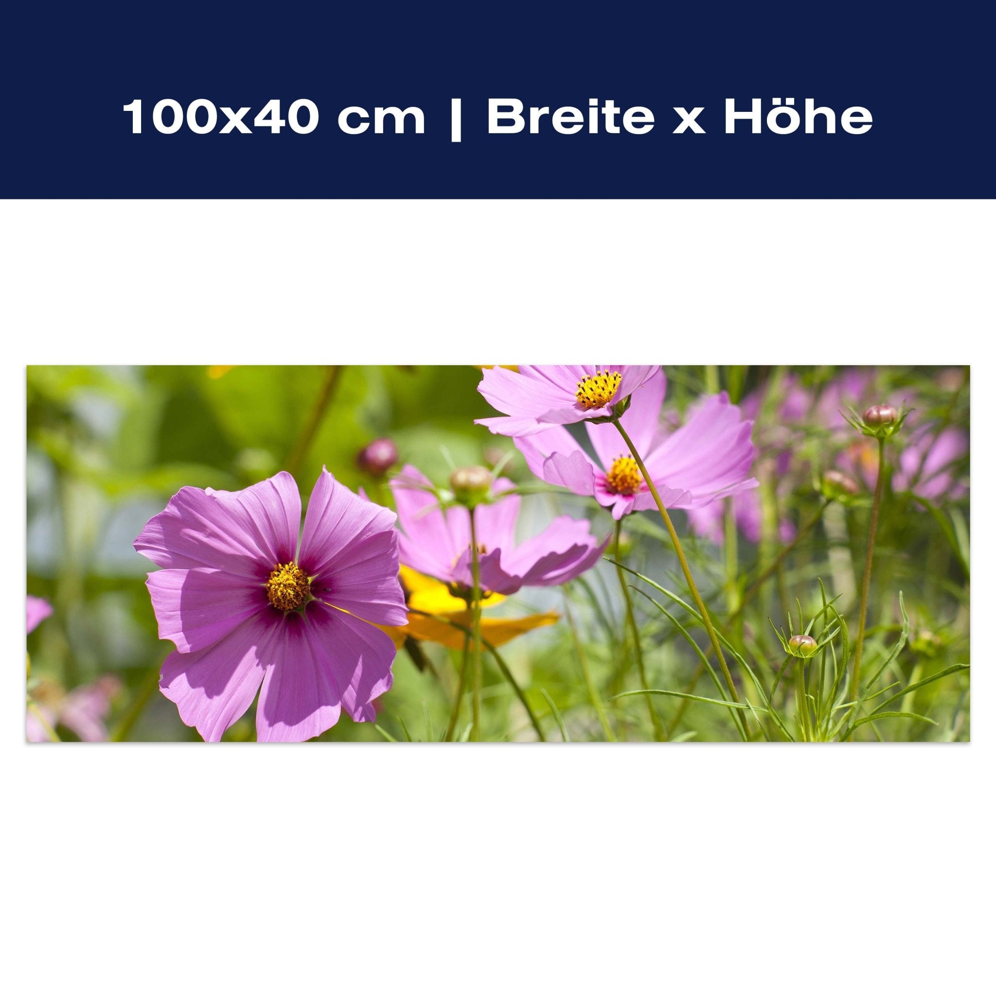 Leinwandbild Schöne Frühlingsblumen M1048