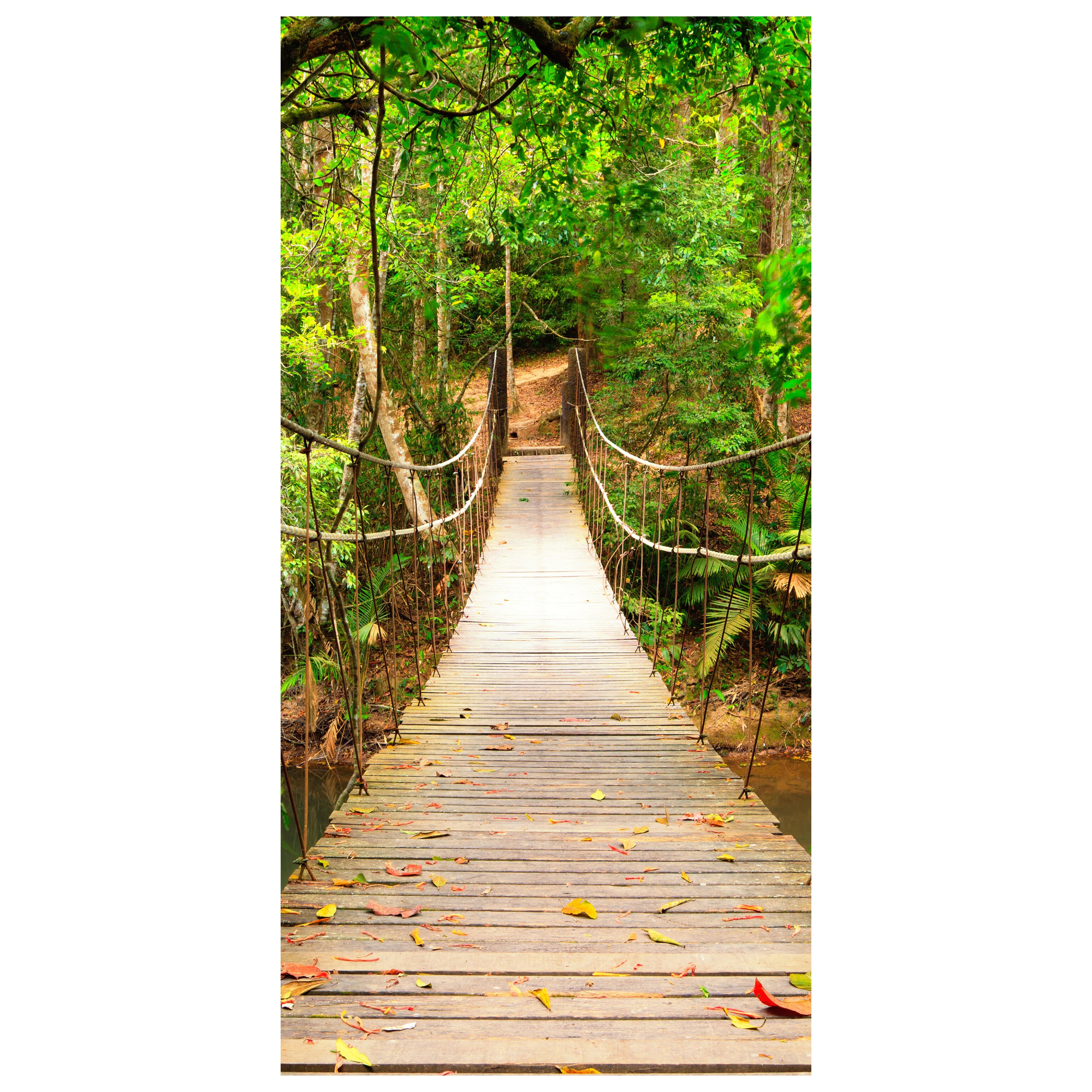 Türtapete Holz-brücke im Wald, Hängebrücke, Natur M1067 - Bild 2