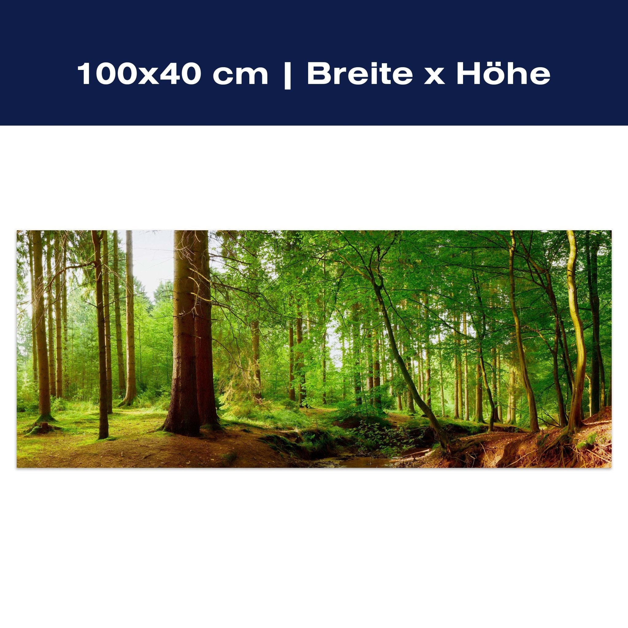 Leinwandbild Bach im Wald, Natur, Grün, Bäume, Wasser M1087