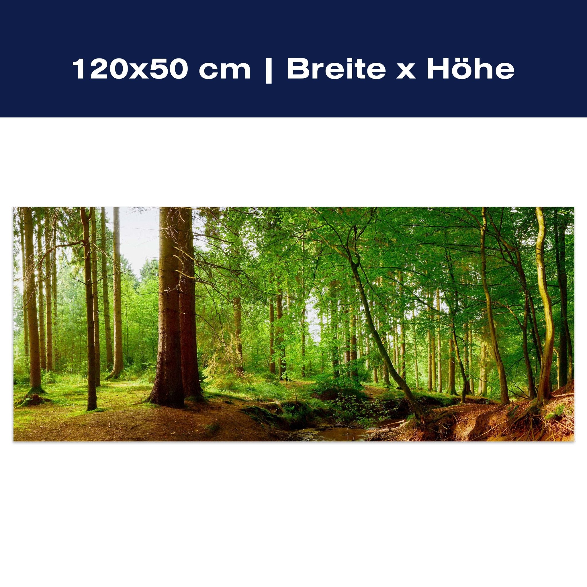 Leinwandbild Bach im Wald, Natur, Grün, Bäume, Wasser M1087