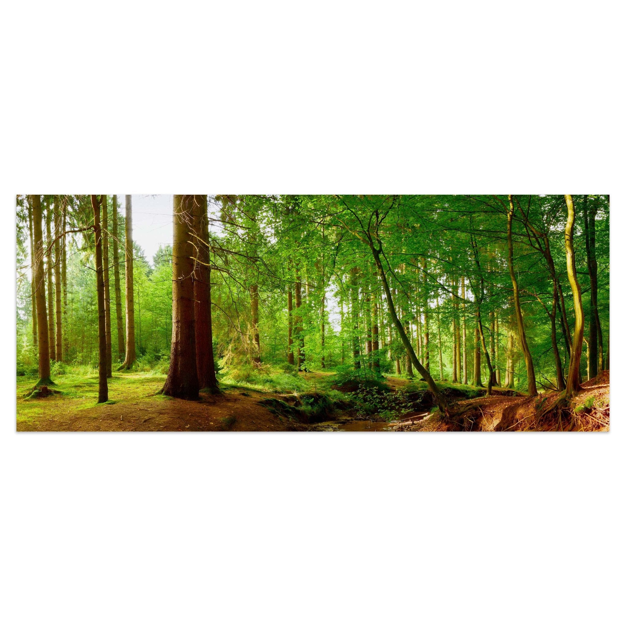 Leinwandbild Bach im Wald, Natur, Grün, Bäume, Wasser M1087 kaufen - Bild 1