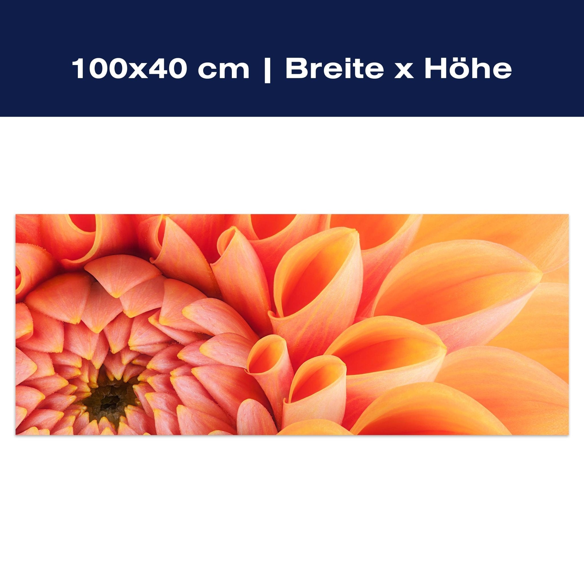 Leinwandbild Blume Blüte orange Chrysantheme M1124