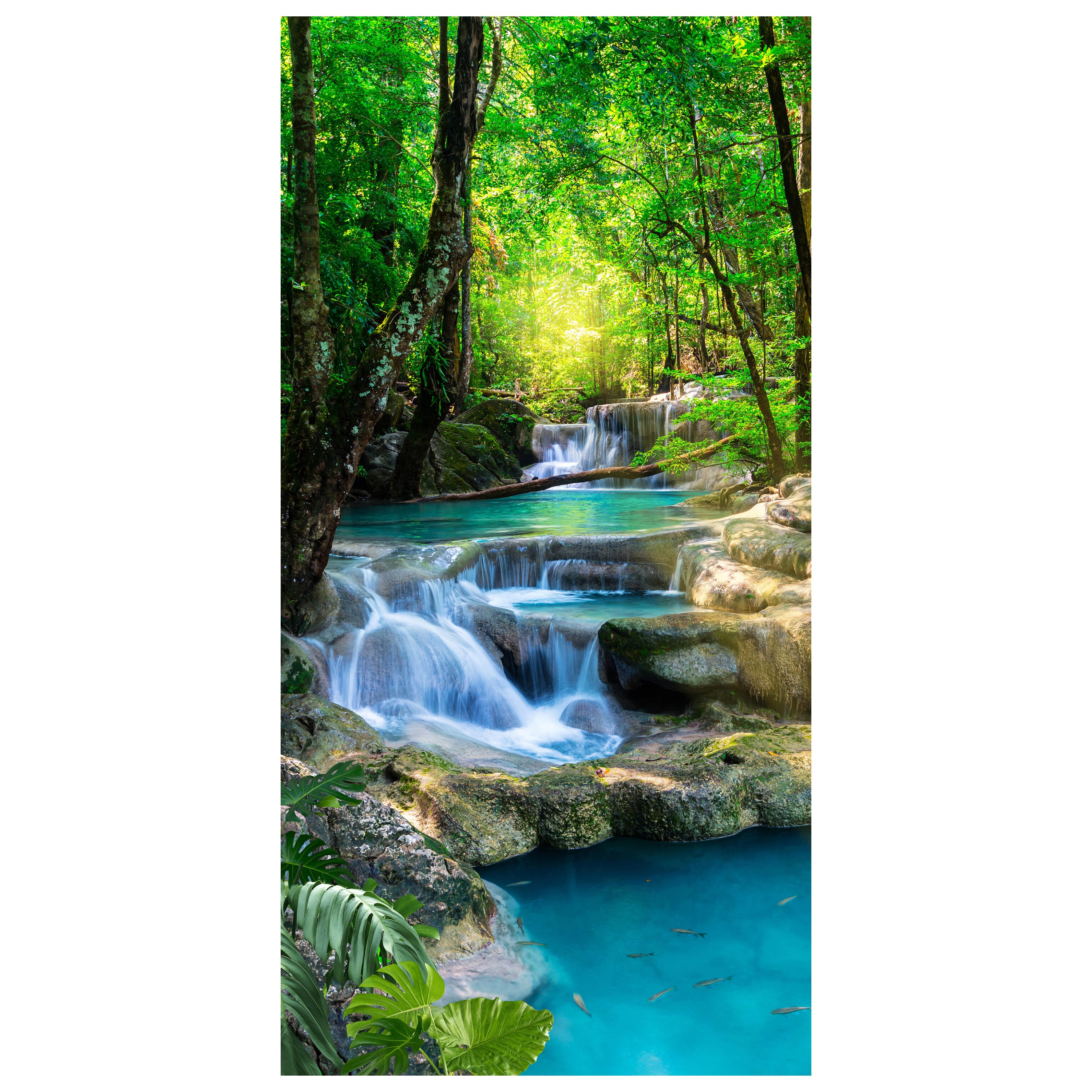 Türtapete Wasser Treppen im Wald, Natur, Bäume M1295 - Bild 2