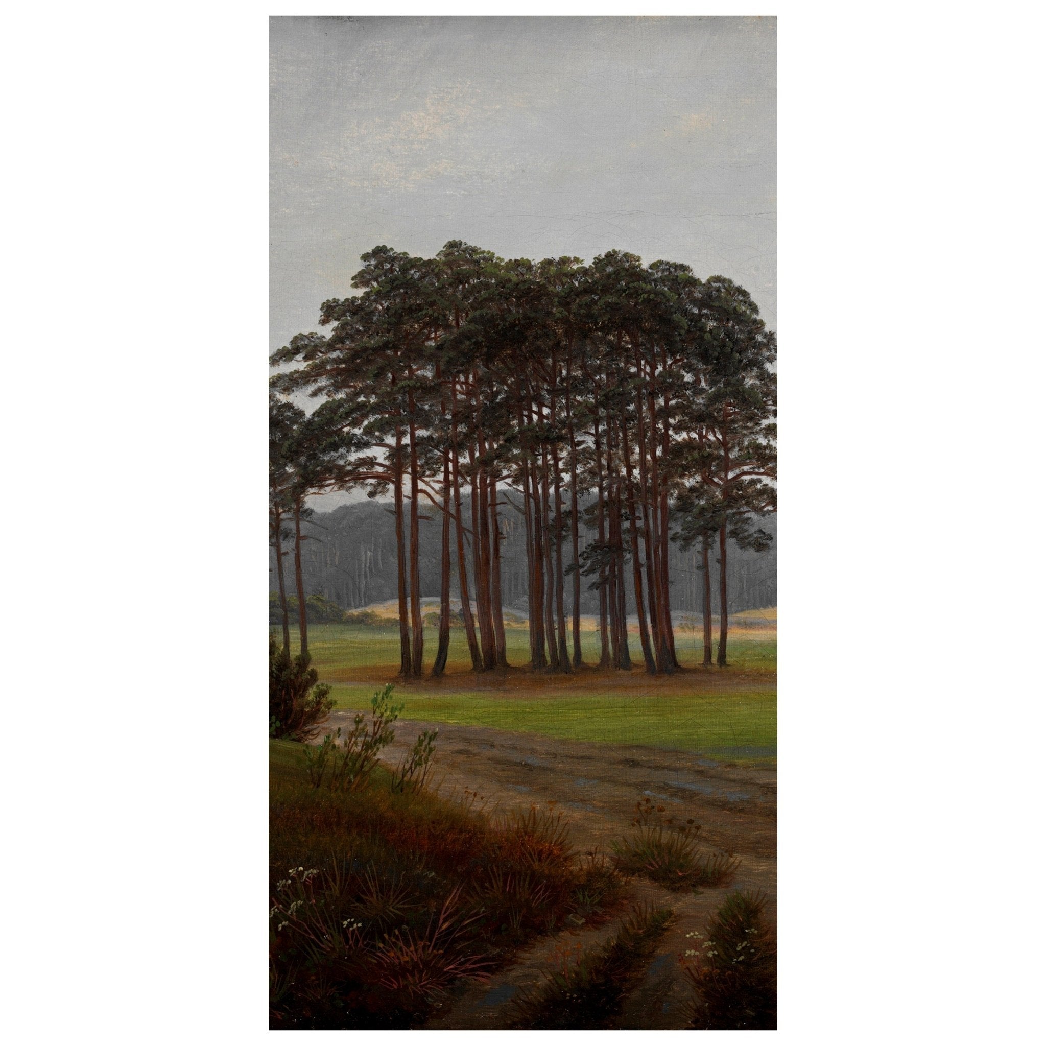 Türtapete Morgen Waldwiese Caspar David Friedrich M1547 - Bild 2