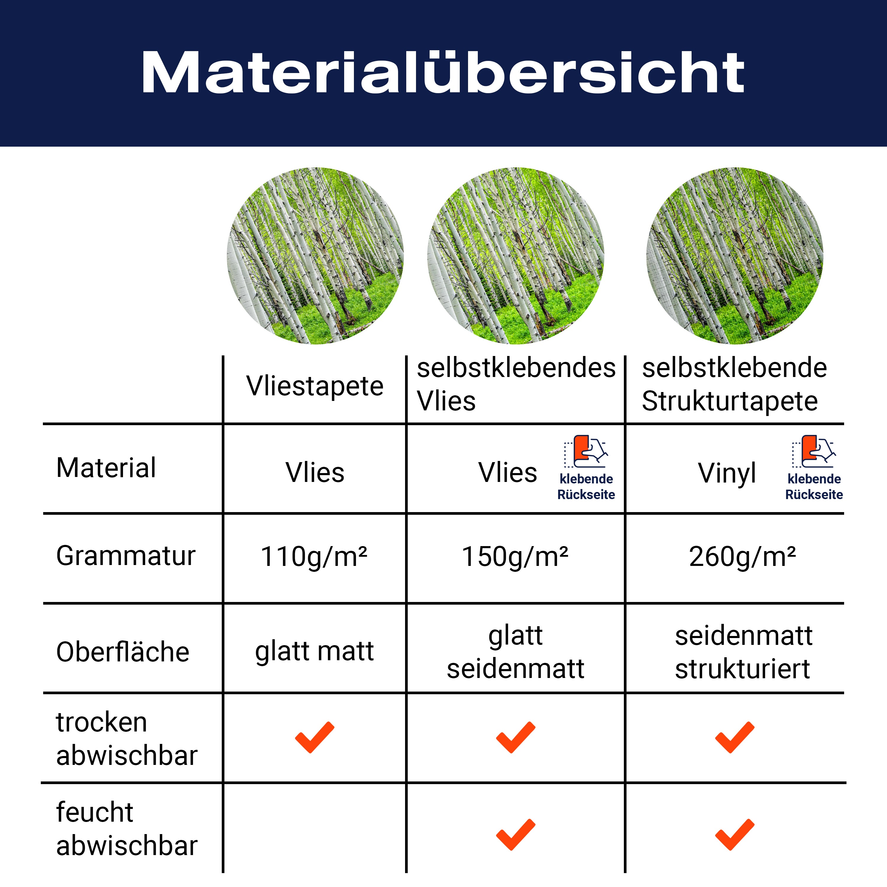 Fototapete Birkenwald Dicht Sträucher M5832 - Bild 8