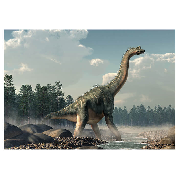 Fototapete Brachiosaurus Dino im Wasser M6019 - Bild 2