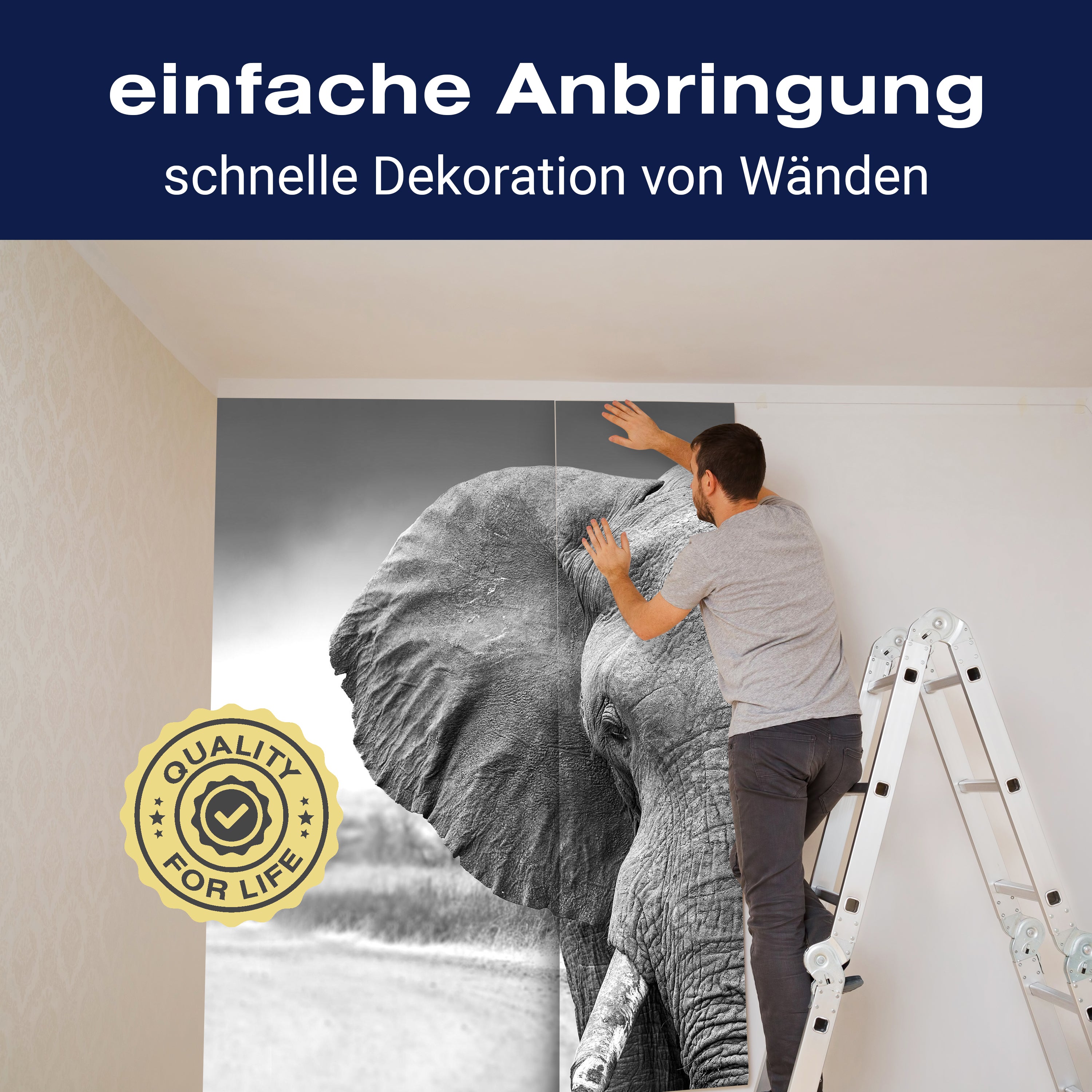 Fototapete Elefant schwarz weiß M6541 - Bild 3