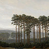 Türtapete Baumgruppe Caspar David Friedrich M1548