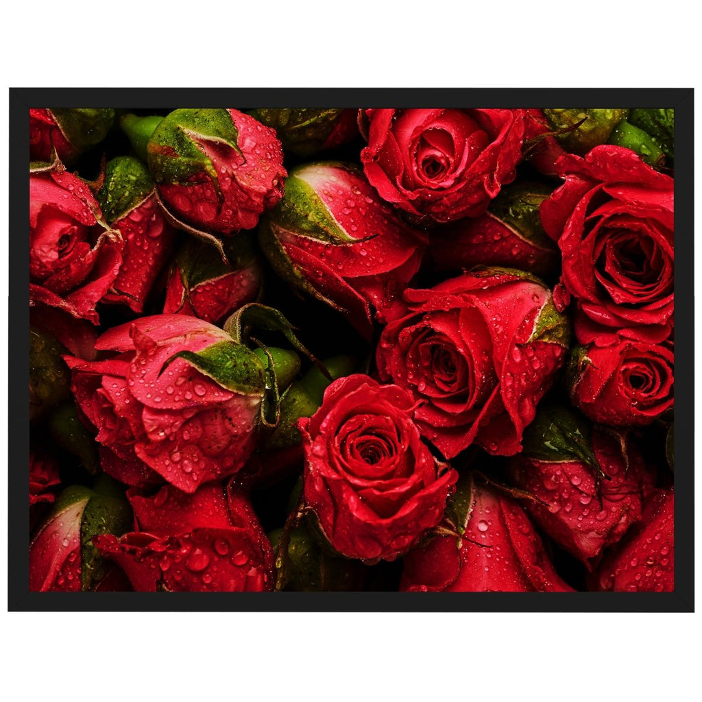 Poster rote M0222 Blumen Rosen
