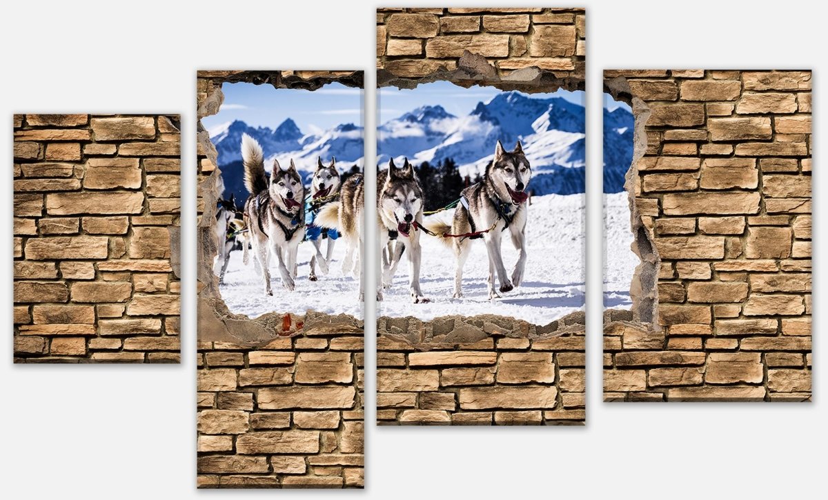 Leinwandbild Mehrteiler 3D Schlittenhunde Racing - Steinmauer M0671