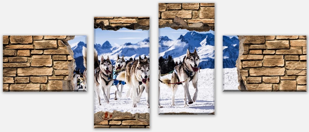 Leinwandbild Mehrteiler 3D Schlittenhunde Racing - Steinmauer M0671